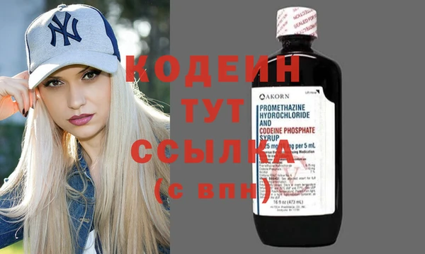 индика Аркадак