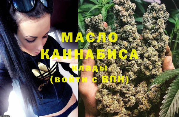 индика Аркадак