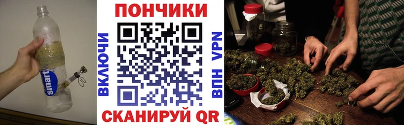 Купить где  Теберда  Бошки марихуана семена 